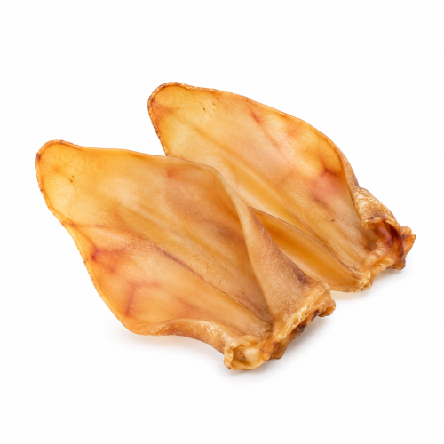 Orecchie di bovino senza pelo