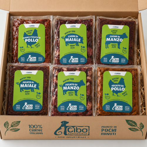 Box Discovery Organi