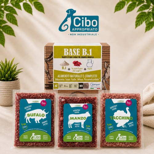 Box Starter Sistema Base Taglia S